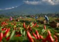 Agar Tanaman Tetap Terjaga, DKPP Lumajang Fasilitasi Kebutuhan Petani Hortikultura