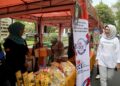 Tak Harus Menunggu Besar, UMKM Lumajang Mulai Dibekali Cara Menembus Pasar Ekspor